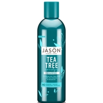 ason Tea Tree Shampoo 517ml