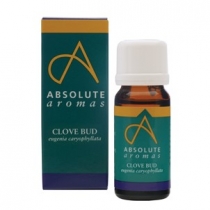 Absolute Aromas Clove Bud 10ml