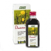 Dandelion Juice