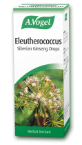 Eleutherococcus (Siberian Ginseng) tincture