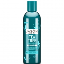 ason Tea Tree Shampoo 517ml