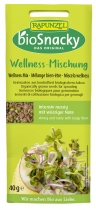 Rapunzel BioSnacky Wellness Mischung 40g