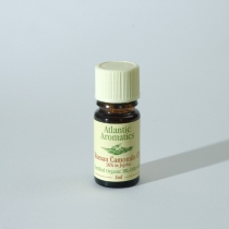 Atlantic Aromatics Roman Chamomile Oil 5ml