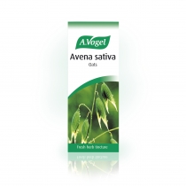 Avena Sativa Oat Drops