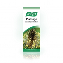 Plantago Drops