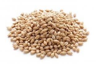 Rainbow Organic Pearl Barley Grain 500g