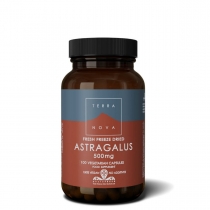 Terranova Astragalus 500mg 100 Vegetarian Capsules