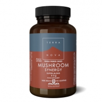 Terranova Nettle Mushroom Synergy 40g